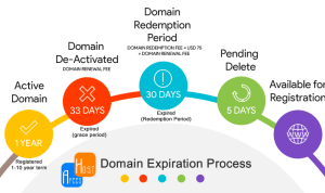 Domain Expiration Process. (foto : afeeshost.com)