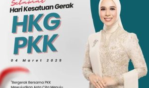 Ketua Dewan Kerajinan Nasional Daerah (Dekranasda) Kabupaten OKI, Ike Meilina. (foto : Pemkab OKI)