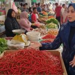 Anggota DPD RI asal Provinsi Nusa Tenggara Barat, Mirah Midadan Fahmid. (foto : tim media)