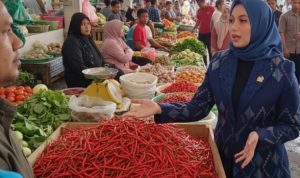 Anggota DPD RI asal Provinsi Nusa Tenggara Barat, Mirah Midadan Fahmid. (foto : tim media)