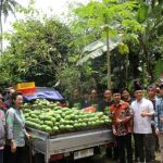 Wakil Ketua Dewan Perwakilan Daerah (DPD) Republik Indonesia (RI), GKR Hemas, bersama Anggota DPD RI Daerah Istimewa Yogyakarta (DIY), Hilmy Muhammad, menyerahkan bantuan pompa air tipe NS-150 kepada Kelompok Tani Hortikultura "Nggayuh Rejeki" di Kalurahan Sendangsari, Kapanewon Minggir, Kabupaten Sleman, hari Sabtu, tanggal 28 Februari 2026. (foto : Newsroom DPD RI)