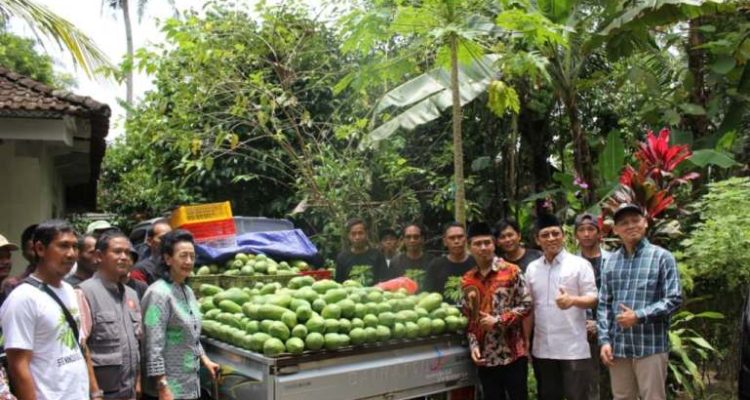 Wakil Ketua Dewan Perwakilan Daerah (DPD) Republik Indonesia (RI), GKR Hemas, bersama Anggota DPD RI Daerah Istimewa Yogyakarta (DIY), Hilmy Muhammad, menyerahkan bantuan pompa air tipe NS-150 kepada Kelompok Tani Hortikultura "Nggayuh Rejeki" di Kalurahan Sendangsari, Kapanewon Minggir, Kabupaten Sleman, hari Sabtu, tanggal 28 Februari 2026. (foto : Newsroom DPD RI)