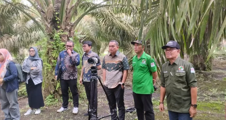 kunjungan kerja Tim Deputi Bidang Pengembangan Usaha Kemenkop Republik Indonesia bersama Lembaga Pengelola Dana Bergulir (LPDB) ke KUD Sejahtera pada Rabu, 20 Mei 2026. (WARTANEGERIKU.ID/FRAN)