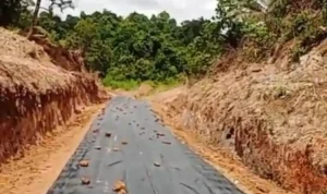 Pemerintah Kecamatan Sanga Desa bersama Pemerintah Desa Macang Sakti, pihak perusahaan PT SAP, pengelola sawmill, dan warga setempat, bahu-membahu melakukan perbaikan jalan di Desa Macang Sakti. (WARTANEGERIKU.ID/FRAN) Pemerintah Kecamatan Sanga Desa bersama Pemerintah Desa Macang Sakti, pihak perusahaan PT SAP, pengelola sawmill, dan warga setempat, bahu-membahu melakukan perbaikan jalan di Desa Macang Sakti. (WARTANEGERIKU.ID/FRAN)