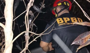 Petugas dari BPBD Kabupaten Muba sedang memandamkan api yang membakar lahan. (WARTANEGERIKU.ID/HAIRUDIN) Petugas dari BPBD Kabupaten Muba sedang memandamkan api yang membakar lahan. (WARTANEGERIKU.ID/HAIRUDIN)