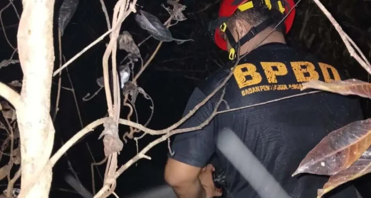 Petugas dari BPBD Kabupaten Muba sedang memandamkan api yang membakar lahan. (WARTANEGERIKU.ID/HAIRUDIN)