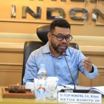 Anggota DPD RI Daerah Pemilihan (Dapil) Papua Barat, Dr. Filep Wamafma. (WARTANEGERIKU.ID/AIR)