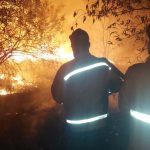 Kebakaran hutan dan lahan (karhutla) kembali melanda sejumlah wilayah di Kabupaten Musi Banyuasin (Muba) dalam beberapa hari terakhir. (WARTANEGERIKU.ID/AIRU)