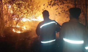 Kebakaran hutan dan lahan (karhutla) kembali melanda sejumlah wilayah di Kabupaten Musi Banyuasin (Muba) dalam beberapa hari terakhir. (WARTANEGERIKU.ID/AIRU)