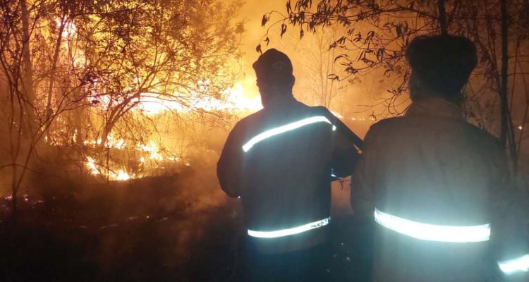 Kebakaran hutan dan lahan (karhutla) kembali melanda sejumlah wilayah di Kabupaten Musi Banyuasin (Muba) dalam beberapa hari terakhir. (WARTANEGERIKU.ID/AIRU)